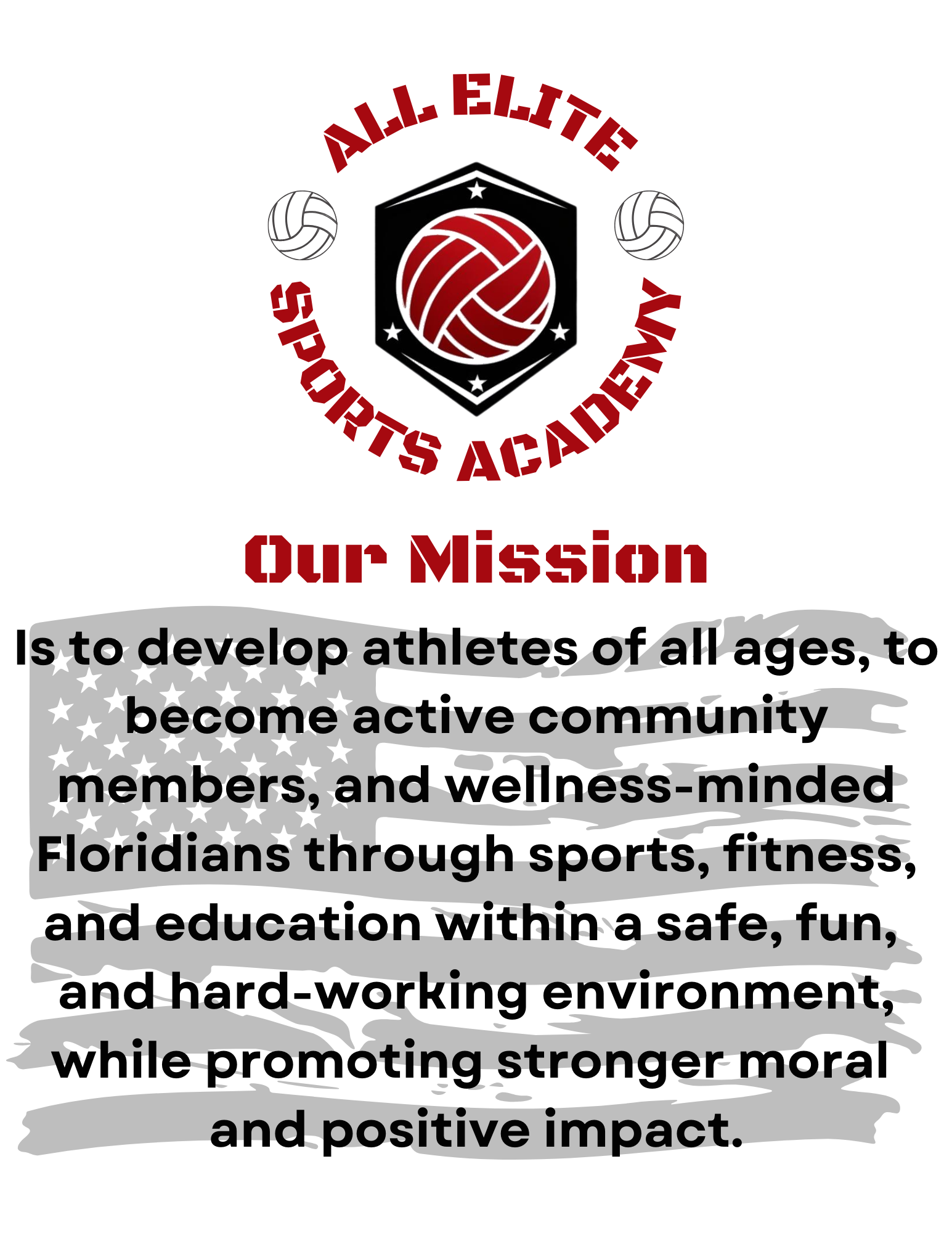 All Elite Sports Academy, Inc