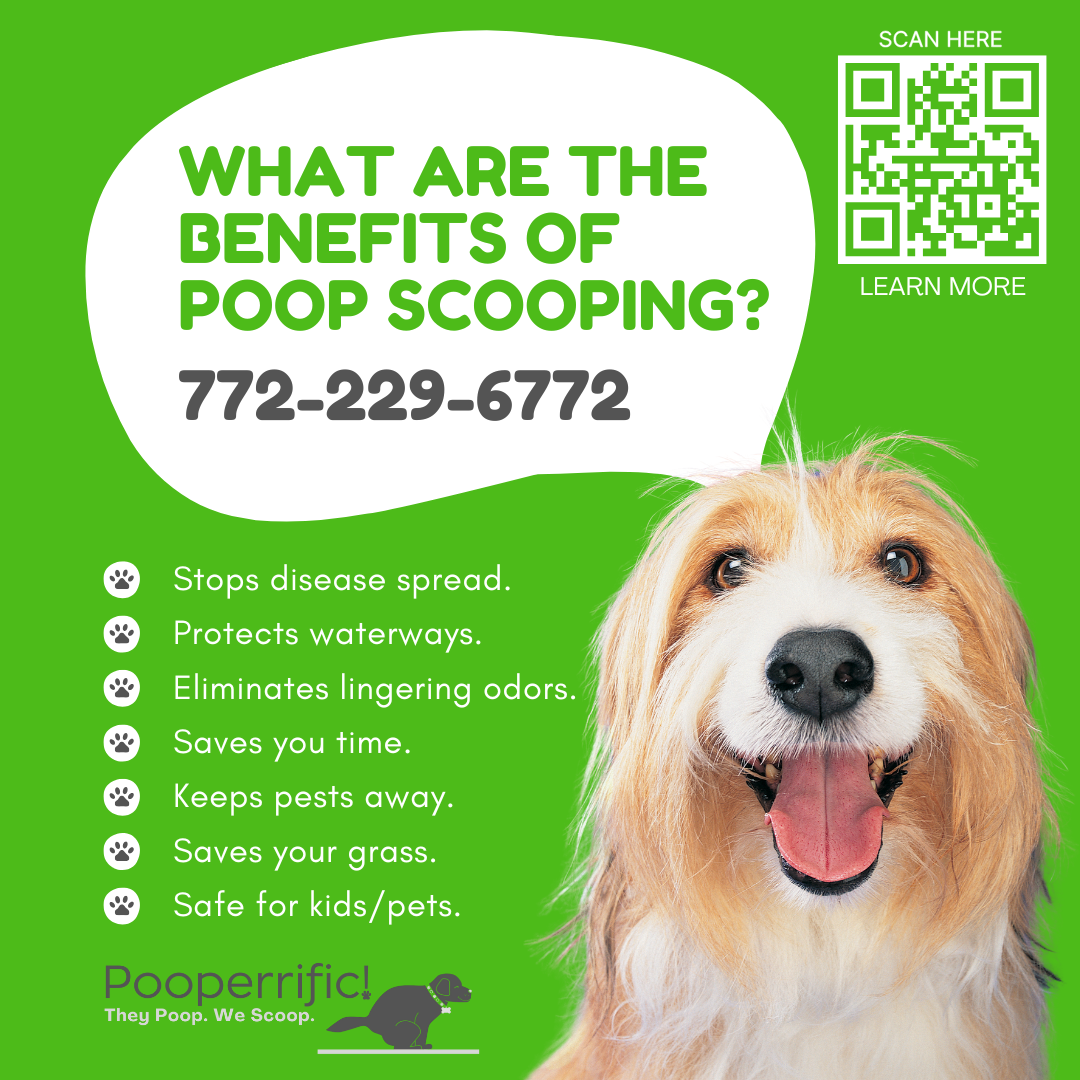 Vero's High-Quality, Trusted Weekly Pet Waste Management...on Autopilot!