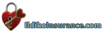 Ildiko Insurance Advisors, LLC